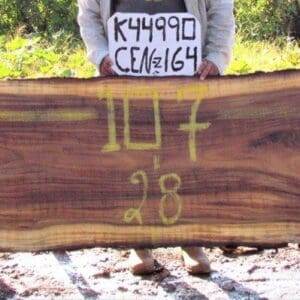 Wood slab with measurements and markings displayed.