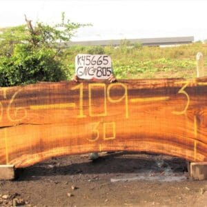 Wood slab with numbers and sign outdoors.