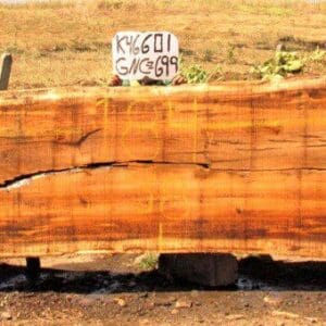 Large wooden slab with visible cracks.