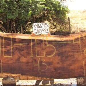 Large wooden slab with numbers and sign.