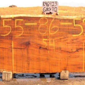Large wooden slab with yellow markings outdoors.