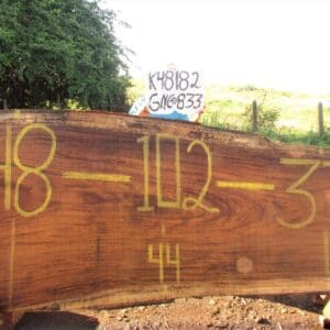 Wood slab with numbers painted on it.
