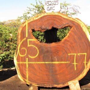 Tree cross-section with measurements and hollow center.