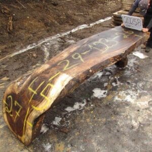 Large, numbered wooden slab on muddy ground.